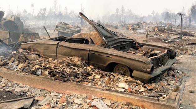 Help Trimmers Affected by Wildfires