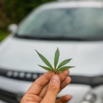The Hog Ring - Smoking Weed at Work is a Chronic Mistake b