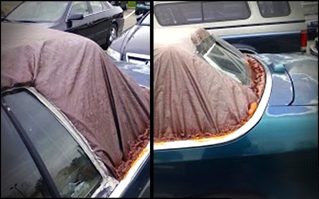 Auto Upholstery - The Hog Ring - Trash Bag Convertible Top