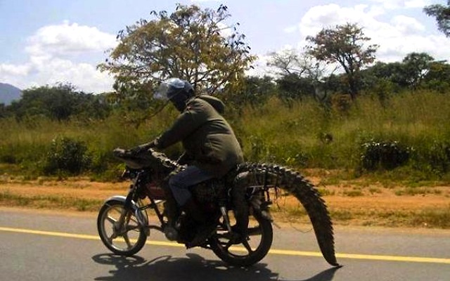 Auto Upholstery - The Hog Ring - Alligator Motorcycle Seat