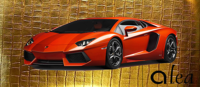 Auto Upholstery - The Hog Ring - Alea leather Lamborghini Aventador