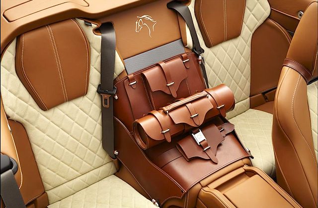 Auto Upholstery - The Hog Ring - Aston Martin DB9 Equestrian Edition