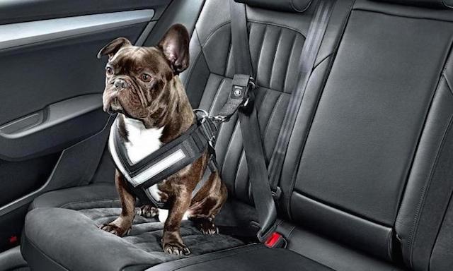 Auto Upholstery - The Hog Ring - Skoda Dog Seat Belt