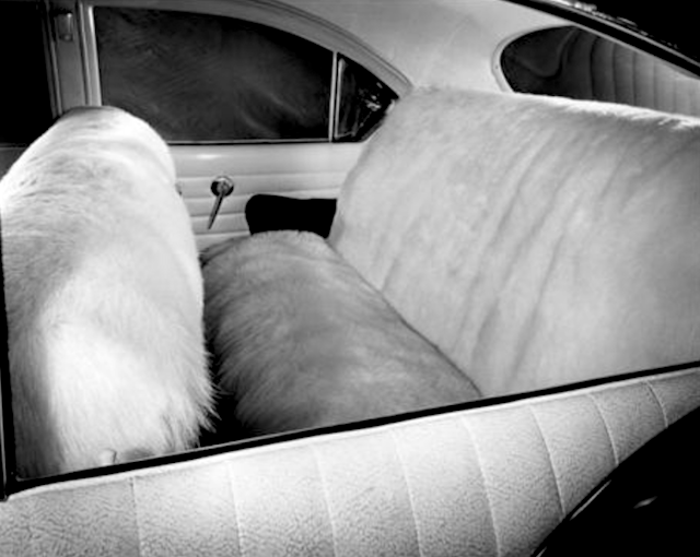 Auto Upholstery - The Hog Ring - Kaiser Explorer