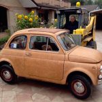 Auto Upholstey - The Hog Ring - Federico Bonizzoni - Fiat 500