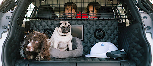 The Hog Ring - The Nissan X-Trail is the Ultimate Car for Dogs