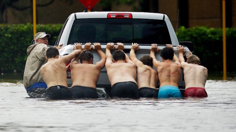 The Hog Ring - Houston Floods Help Auto Shops Recover