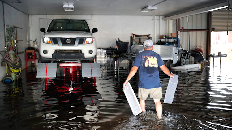 The Hog Ring - Help Industry Families Hit by Hurricanes