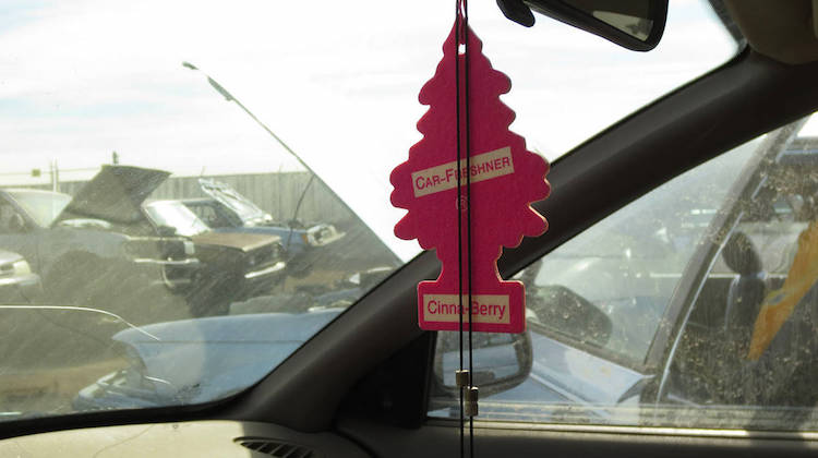 The Hog Ring - The Story Behind Little Trees Air Fresheners