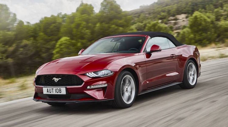 The Hog Ring - 2019 Ford Mustang