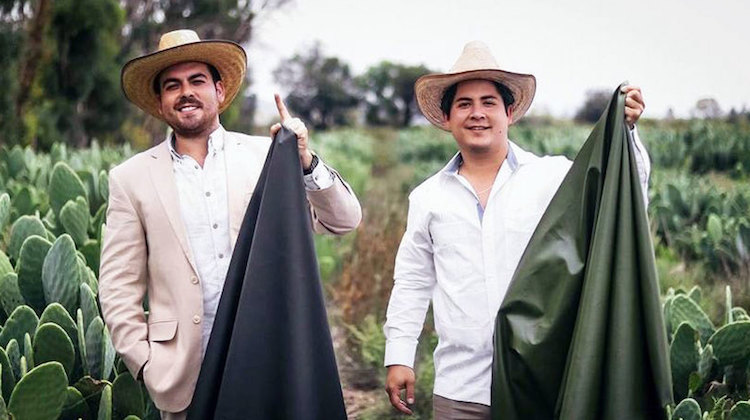 The Hog Ring - Mexican Company Invents Cactus Leather