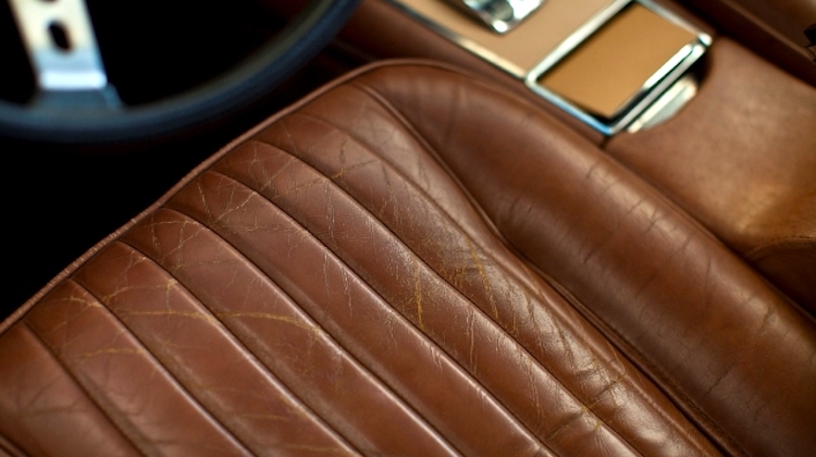 The Hog Ring - Free Webinar on the Future of Automotive Leather