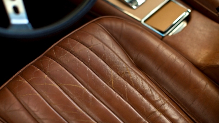 The Hog Ring - Free Webinar on the Future of Automotive Leather