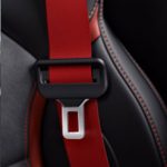 The Hog Ring - Making the Case for Color Seat Belts