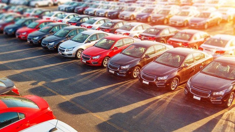 The Hog Ring - What to Know About the Auto Market