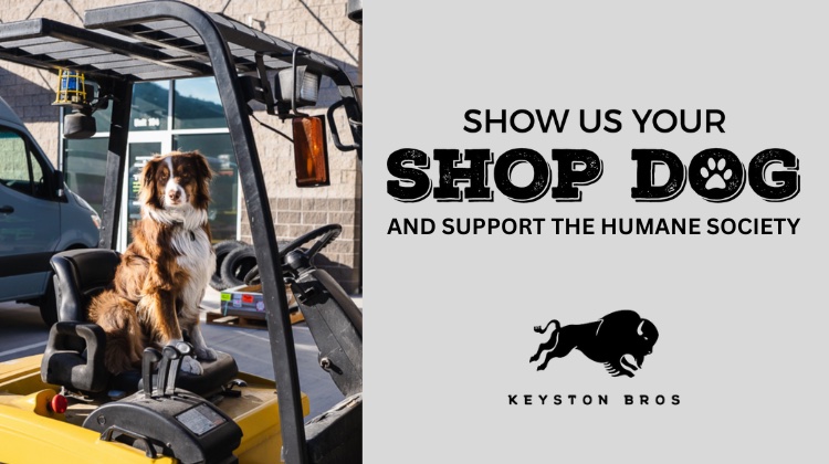 The Hog Ring - Submit a Photo for Keyston 2023 Shop Dog Calendar