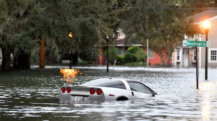 The Hog Ring - Help Trimmers Impacted by Hurricane Ian