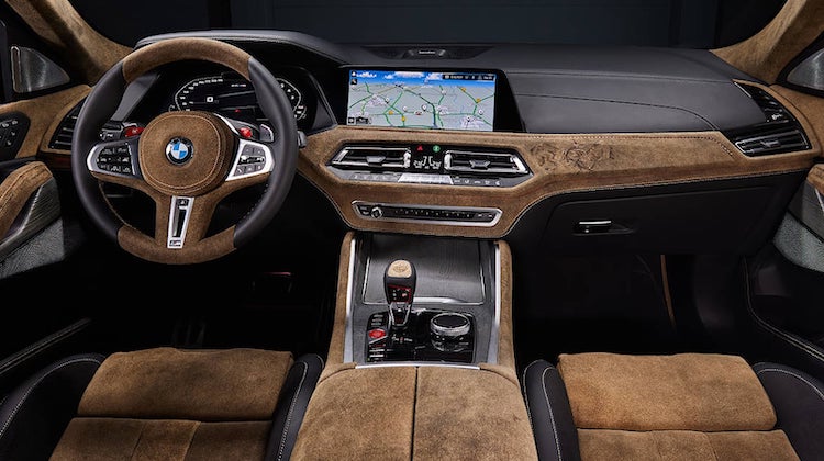 The Hog Ring - This BMW X6 in Upholstered in Deer Leather
