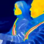 The Hog Ring - ZF Unveils All-New Heated Seat Belts