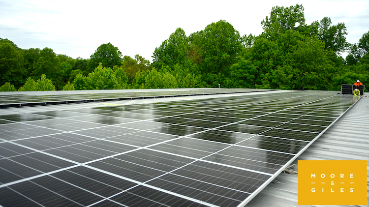 The Hog Ring - Moore & Giles is Going Green with Solar Power