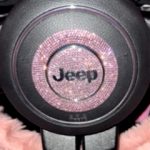 The Hog Ring - Take Those Stupid Rhinestones Off Your Steering Wheel