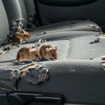 The Hog Ring - Hidden Mouse Nest? How to Charge for the Extra Dirty Work