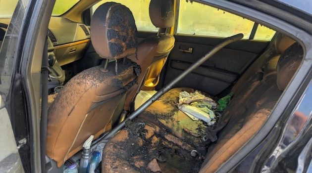 The Hog Ring - Don’t Leave Power Tools in Hot Cars