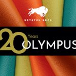 The Hog Ring - Keyston Bros Celebrates 20 Years of Olympus Vinyl