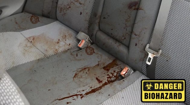 The Hog Ring - The Upholsterer’s Guide to Working in Cars Contaminated With Blood