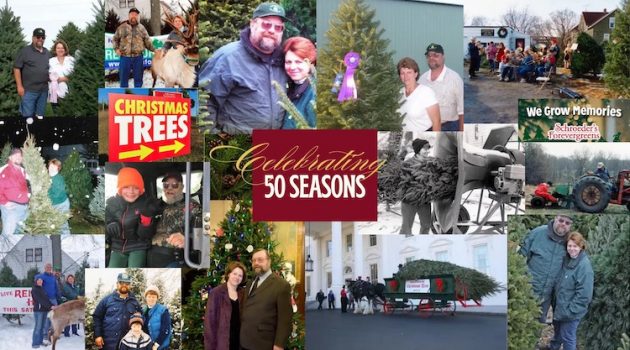 The Hog Ring - These Wisconsin Auto Trimmers Run an Award-Winning Christmas Tree Farm
