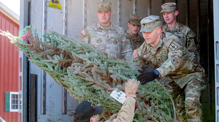 The Hog Ring - These Wisconsin Auto Trimmers Run an Award-Winning Christmas Tree Farm